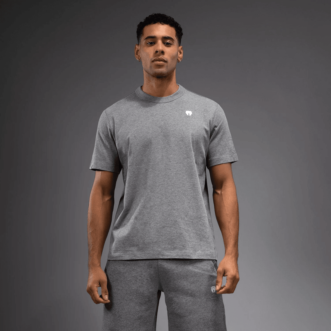 Venum Silent Power T-Shirt - Cloudy Grey